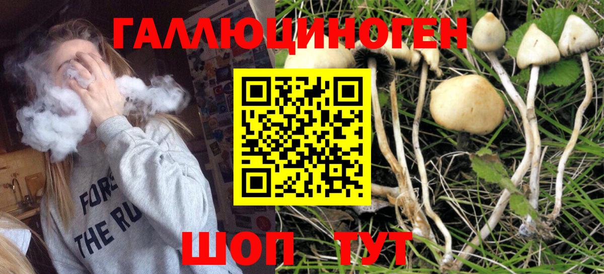 Псилоцибиновые грибы Cubensis  Вход с VPN  Йошкар-Ола 