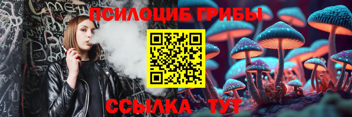 Галлюциногенные грибы Psilocybine cubensis Йошкар-Ола